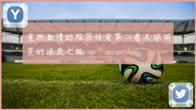 重燃激情的绿茵传奇第二春足球明星的逆袭之路