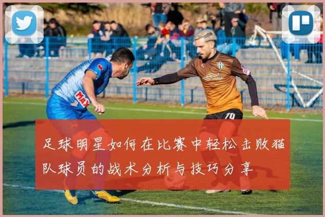 足球明星如何在比赛中轻松击败猫队球员的战术分析与技巧分享