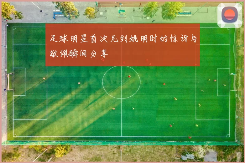 足球明星首次见到姚明时的惊讶与敬佩瞬间分享