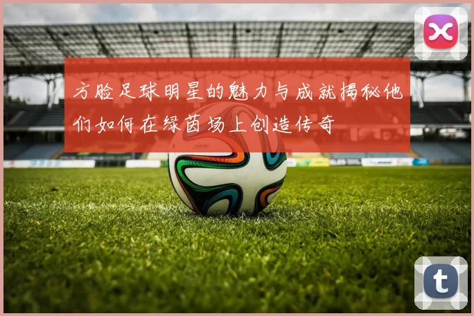 方脸足球明星的魅力与成就揭秘他们如何在绿茵场上创造传奇