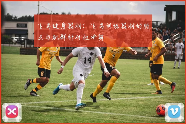 飞鸟健身器材：飞鸟训练器材的特点与肌群针对性讲解