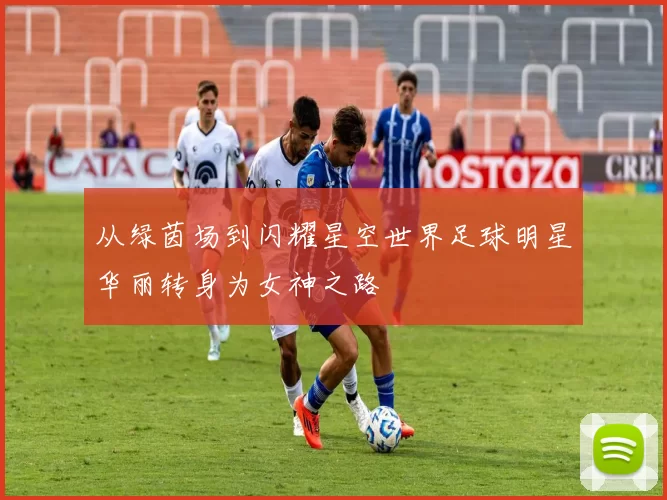 从绿茵场到闪耀星空世界足球明星华丽转身为女神之路