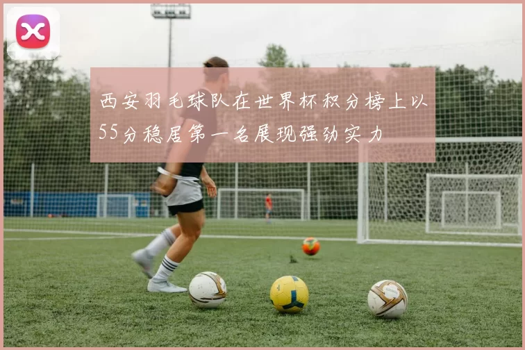 西安羽毛球队在世界杯积分榜上以55分稳居第一名展现强劲实力