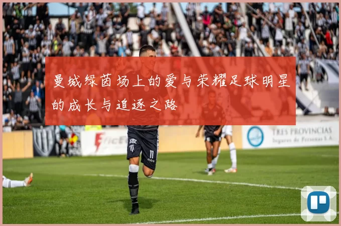 曼城绿茵场上的爱与荣耀足球明星的成长与追逐之路