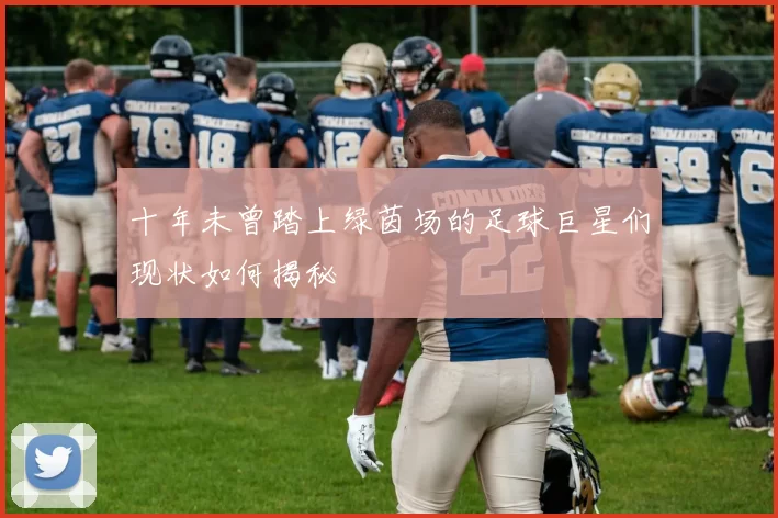 十年未曾踏上绿茵场的足球巨星们现状如何揭秘