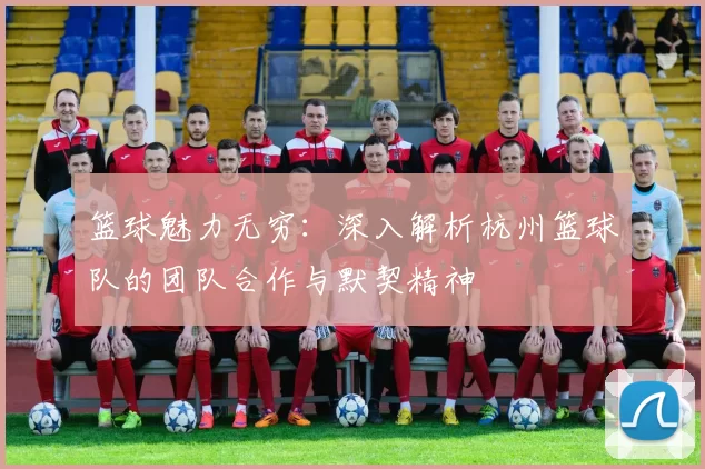 篮球魅力无穷：深入解析杭州篮球队的团队合作与默契精神