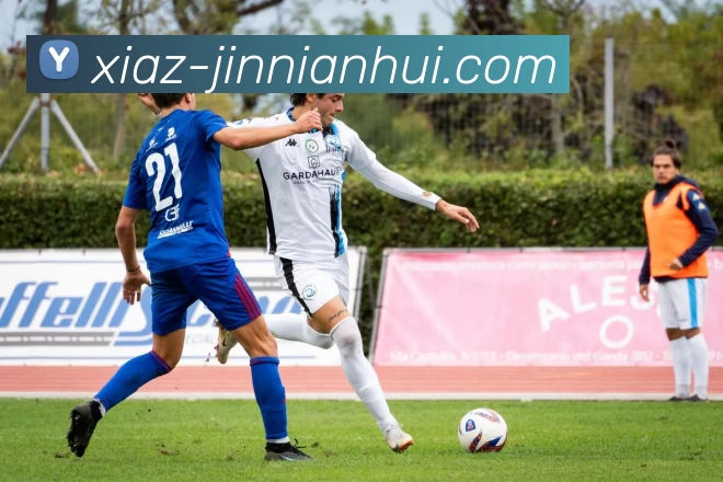 今年会品牌故事